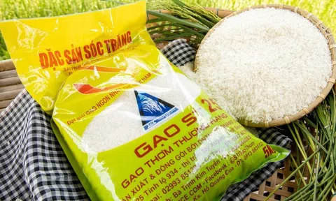 Gạo Việt Nam khẳng định thương hiệu trên thị trường thế giới