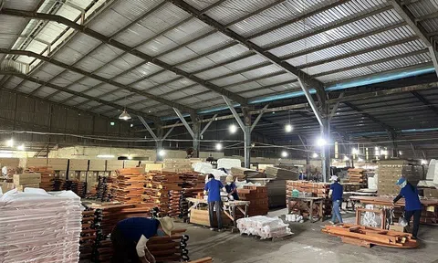 Bamboo Capital muốn bán bớt vốn tại một công ty sản xuất gỗ
